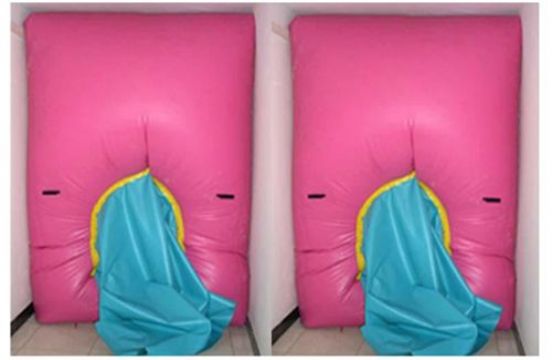 點(diǎn)擊查看詳細(xì)信息<br>標(biāo)題：快速封堵氣囊 閱讀次數(shù)：2782