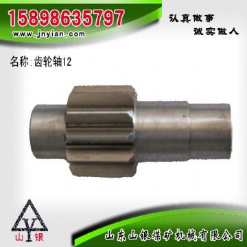 點擊查看詳細信息<br>標題：齒輪軸12 江陰系列配件 閱讀次數(shù)：2269