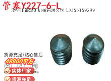 點擊查看詳細(xì)信息<br>標(biāo)題：英格索蘭隔膜泵配件管塞Y227-6-L 閱讀次數(shù)：385